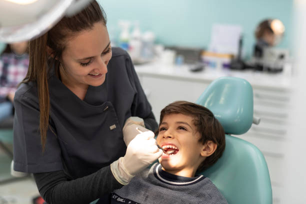 Best Emergency Dental Services for Seniors in Mallory, WV